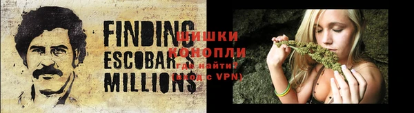 apvp Богородицк