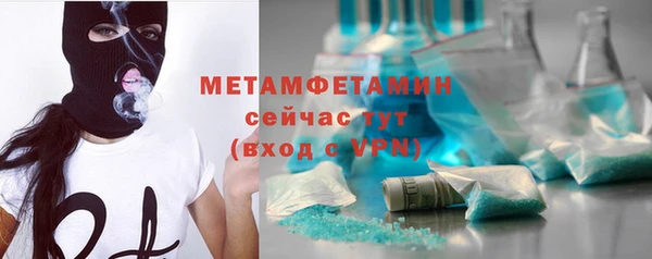 гидра Богородск