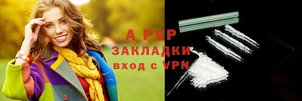 apvp Богородицк
