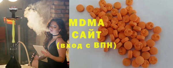 гидра Богородск