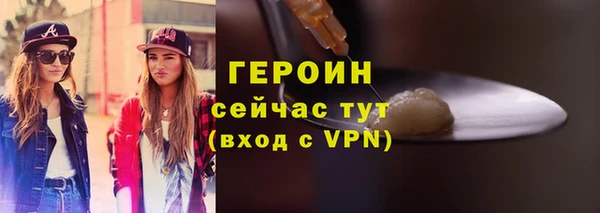 гидра Богородск