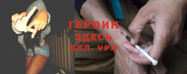 гидра Богородск