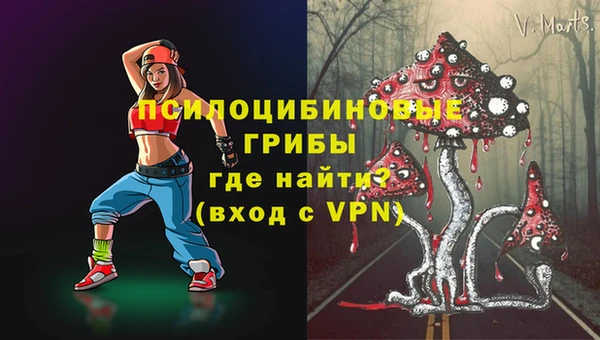 гидра Богородск