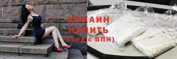 apvp Богородицк