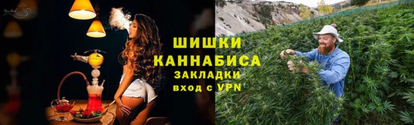 гидра Богородск