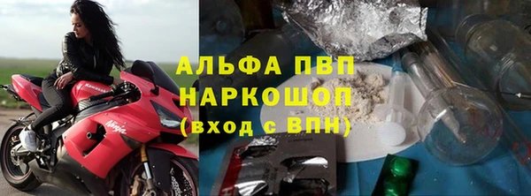 гидра Богородск
