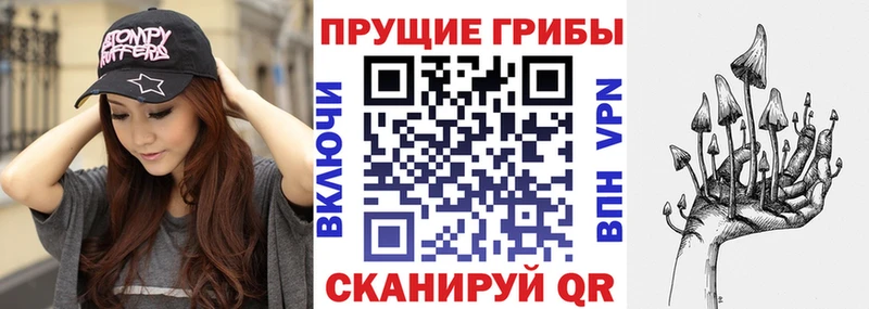 Галлюциногенные грибы Psilocybe  хочу наркоту  KRAKEN рабочий сайт  Шарыпово 